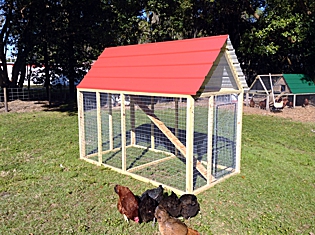Chicken Coop 7